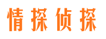 东方市私家侦探